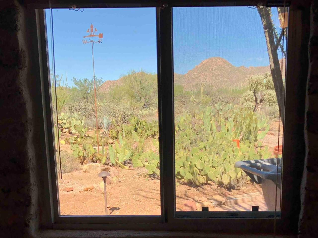 Casa Tierra Adobe Bed & Breakfast Avra Luaran gambar